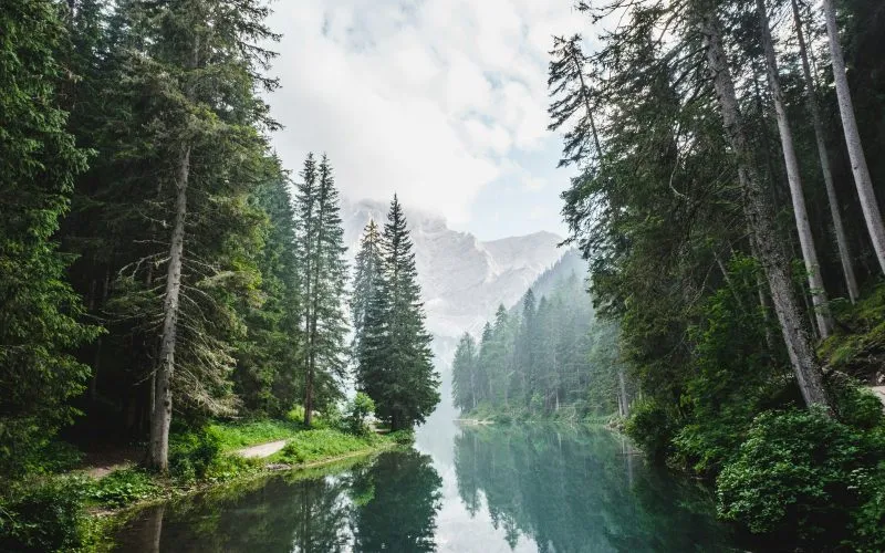 Equitable Earth Broadens REDD+ Risk Mapping