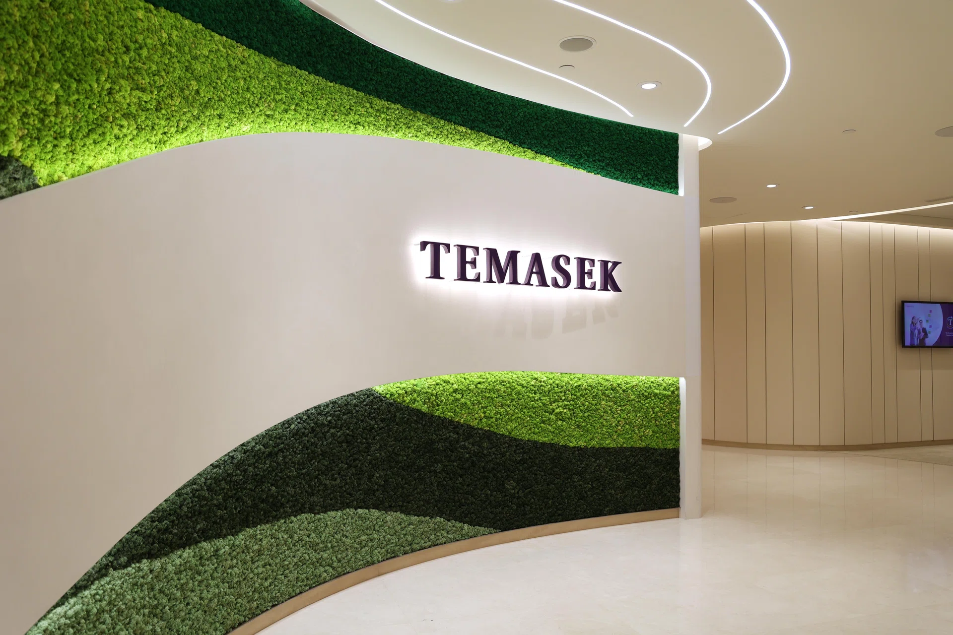Temasek Flags 2030 Climate Miss as Aviation and AI Demand Cloud Net-Zero Path