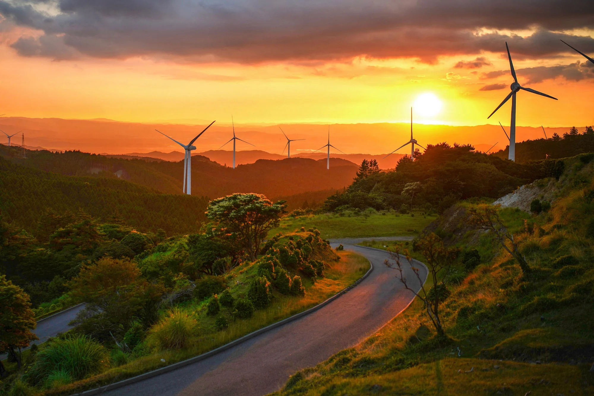 India’s Net Zero Path: Human-Centric & Data-Driven