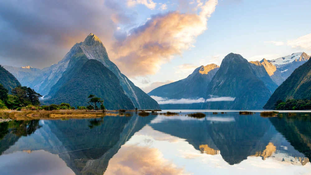 ESG & Climate Policy Shifts in New Zealand (2025-2026)