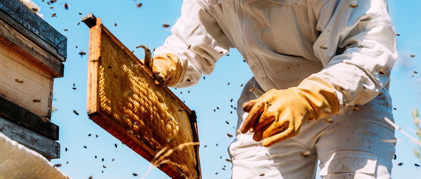 UK Clean Energy Jobs Plan, Crypto ESG Rules & EU Reporting Rollback